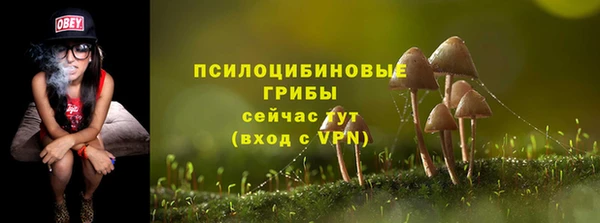 гидропоника Алексеевка