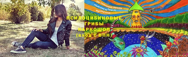 гидропоника Алексеевка