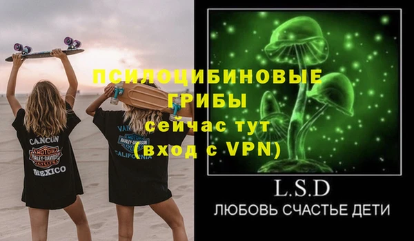 первитин Алексин